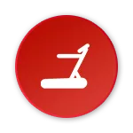 Including treadmills, elliptical machines, upright exercise bikes, horizontal exercise bikes, rowing machines, and other equipment